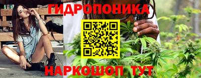 шишки Рыбинск