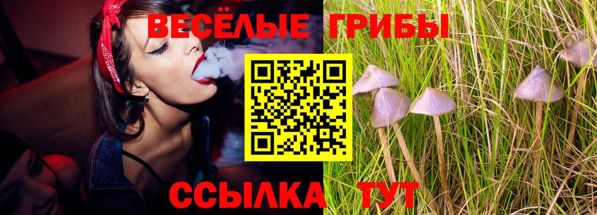 Россошь  Псилоцибиновые грибы Psilocybine cubensis  Вход с VPN 