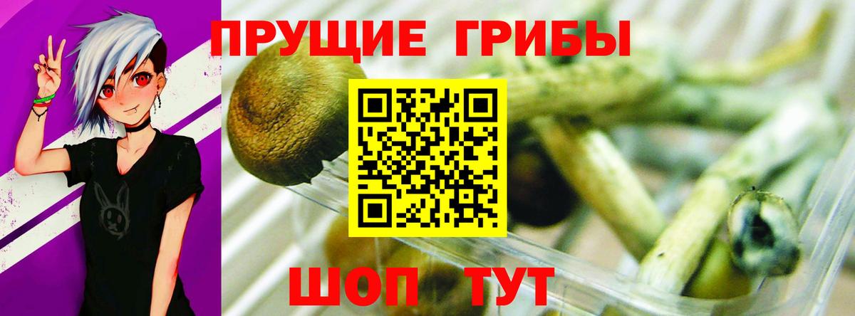 Псилоцибиновые грибы Cubensis Россошь
